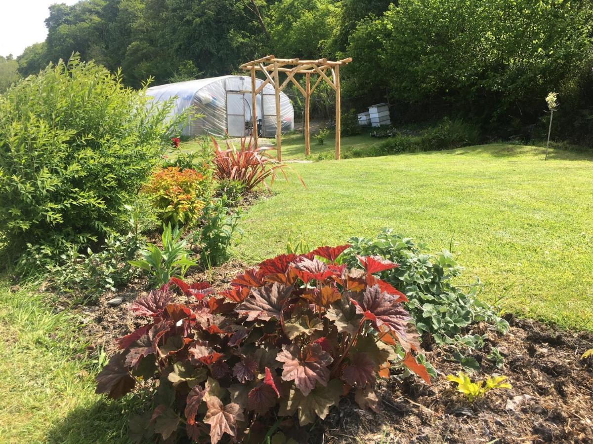 Tanrallt Holiday home Aberystwyth