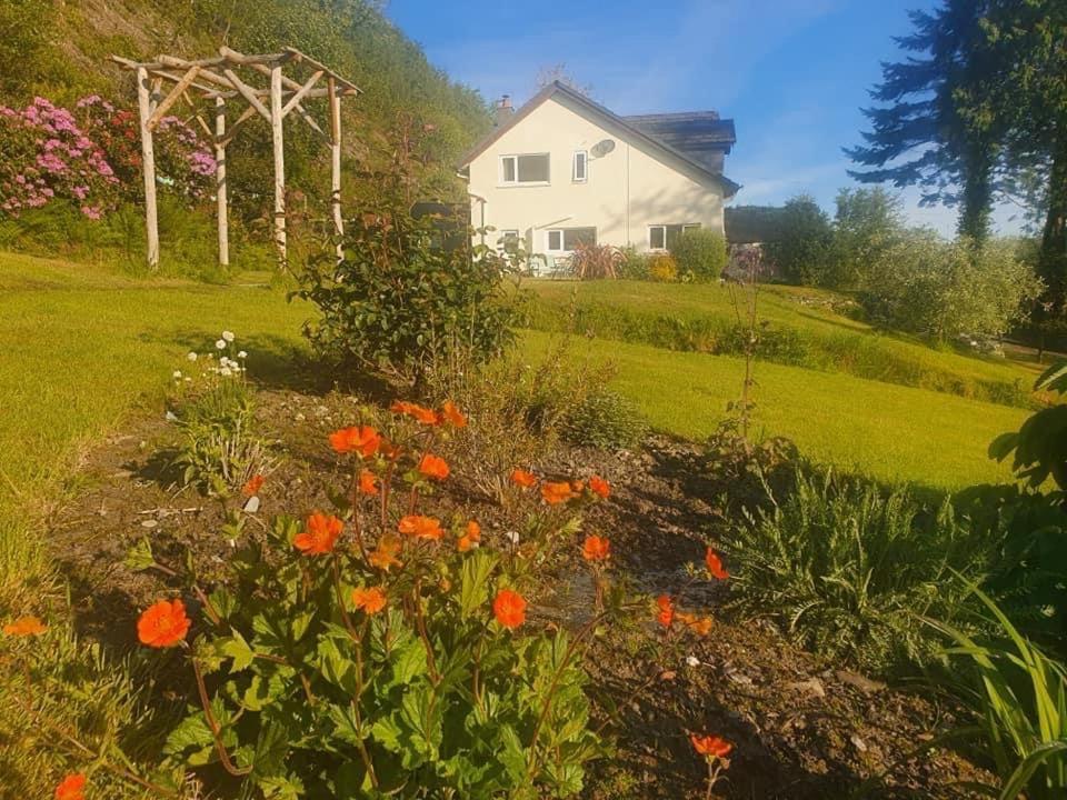 Tanrallt Holiday home Aberystwyth