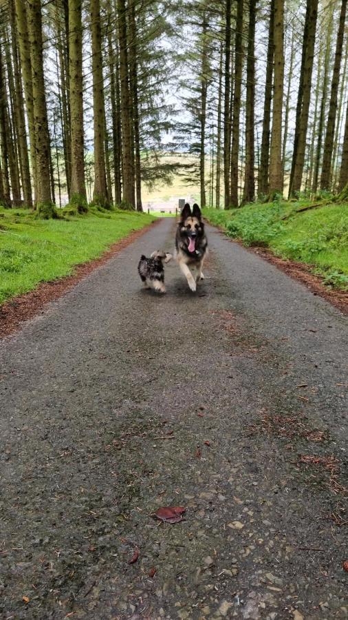 Forester's Retreat Glamping - Cambrian Mountains View Aberystwyth
