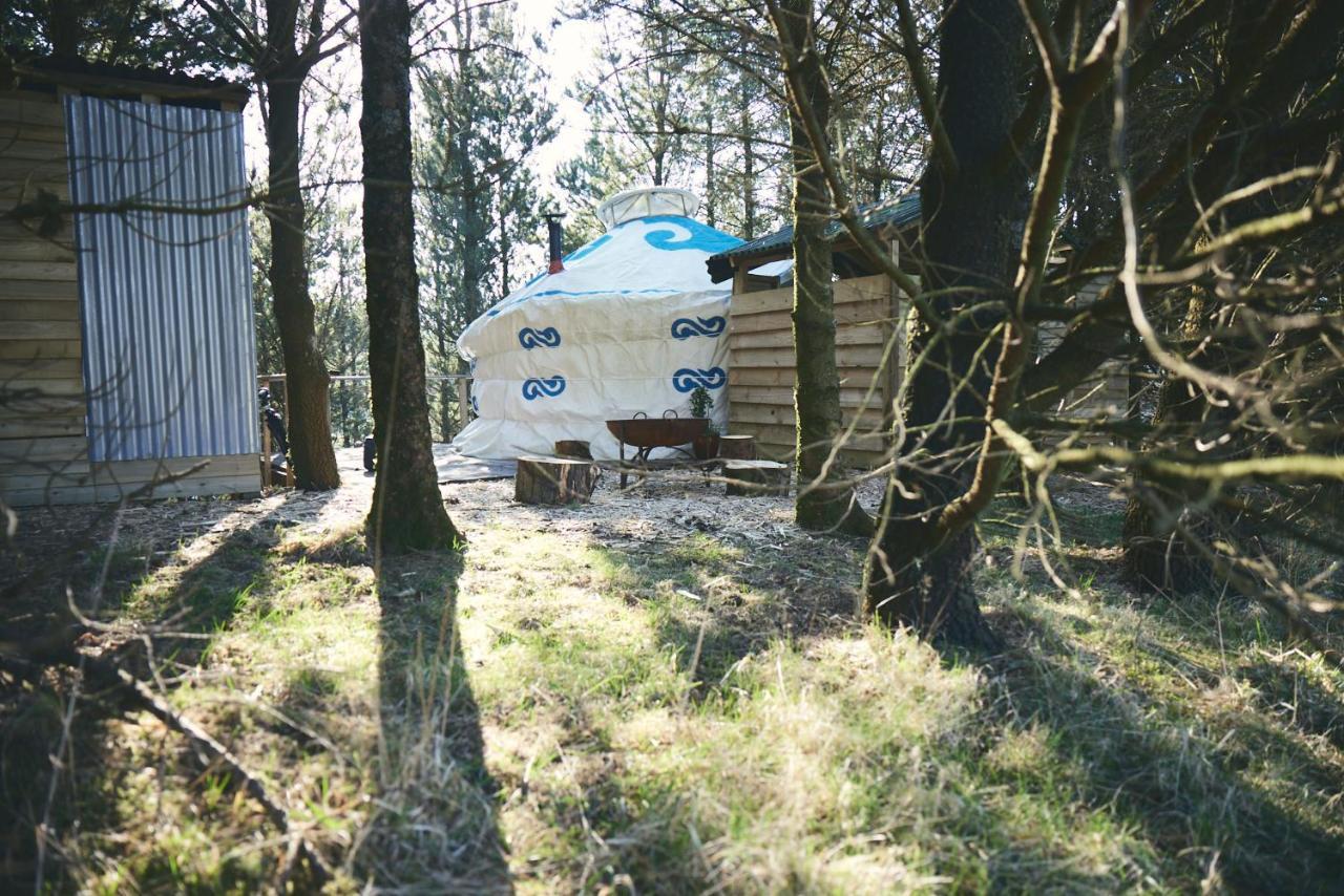 Raven Yurt - Yurtopia Luxury tent Aberystwyth