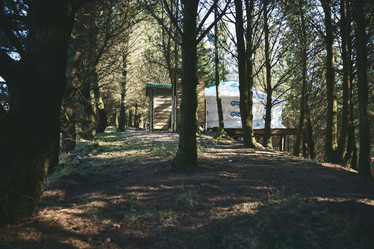 Luxury tent Raven Yurt - Yurtopia *