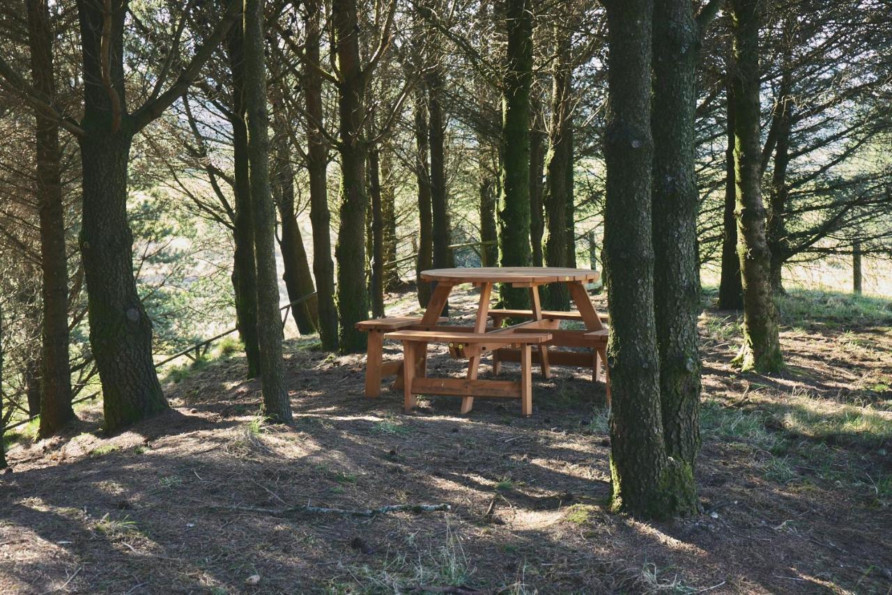 Luxury tent Raven Yurt - Yurtopia Aberystwyth
