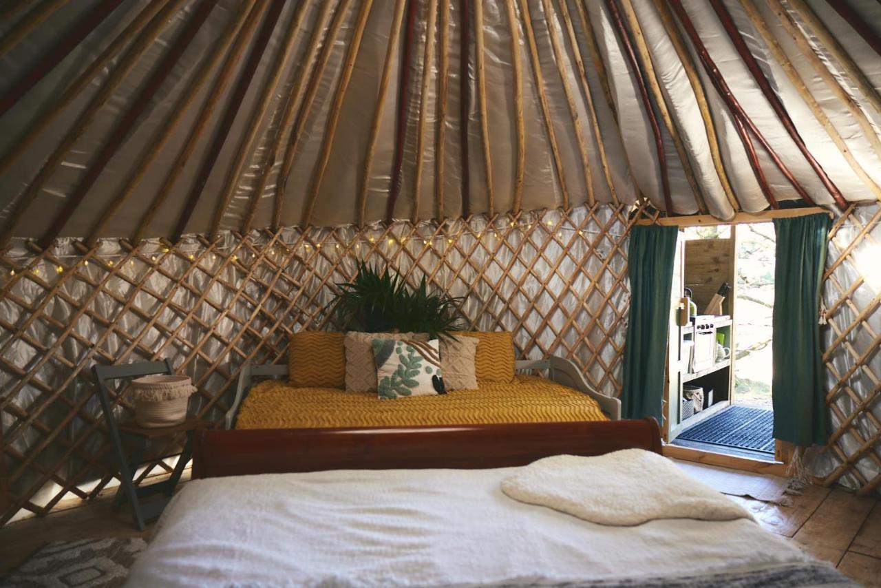 Raven Yurt - Yurtopia Aberystwyth