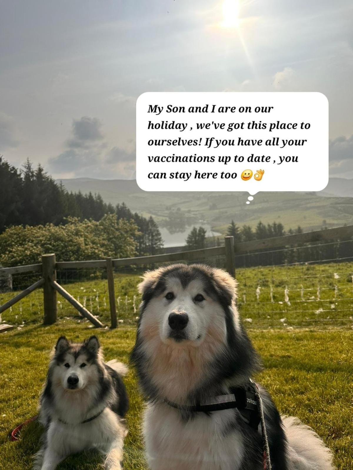 Forester's Retreat Glamping - Cambrian Mountains View Campsite *