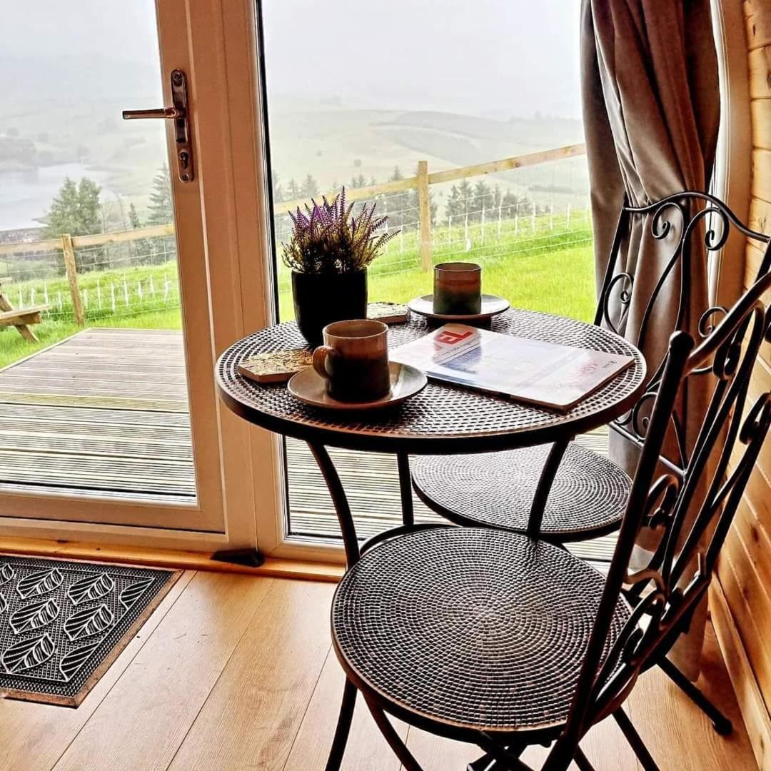 Forester's Retreat Glamping - Dinas View Campsite Aberystwyth