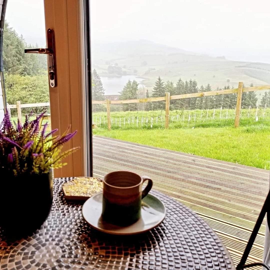 Forester's Retreat Glamping - Dinas View