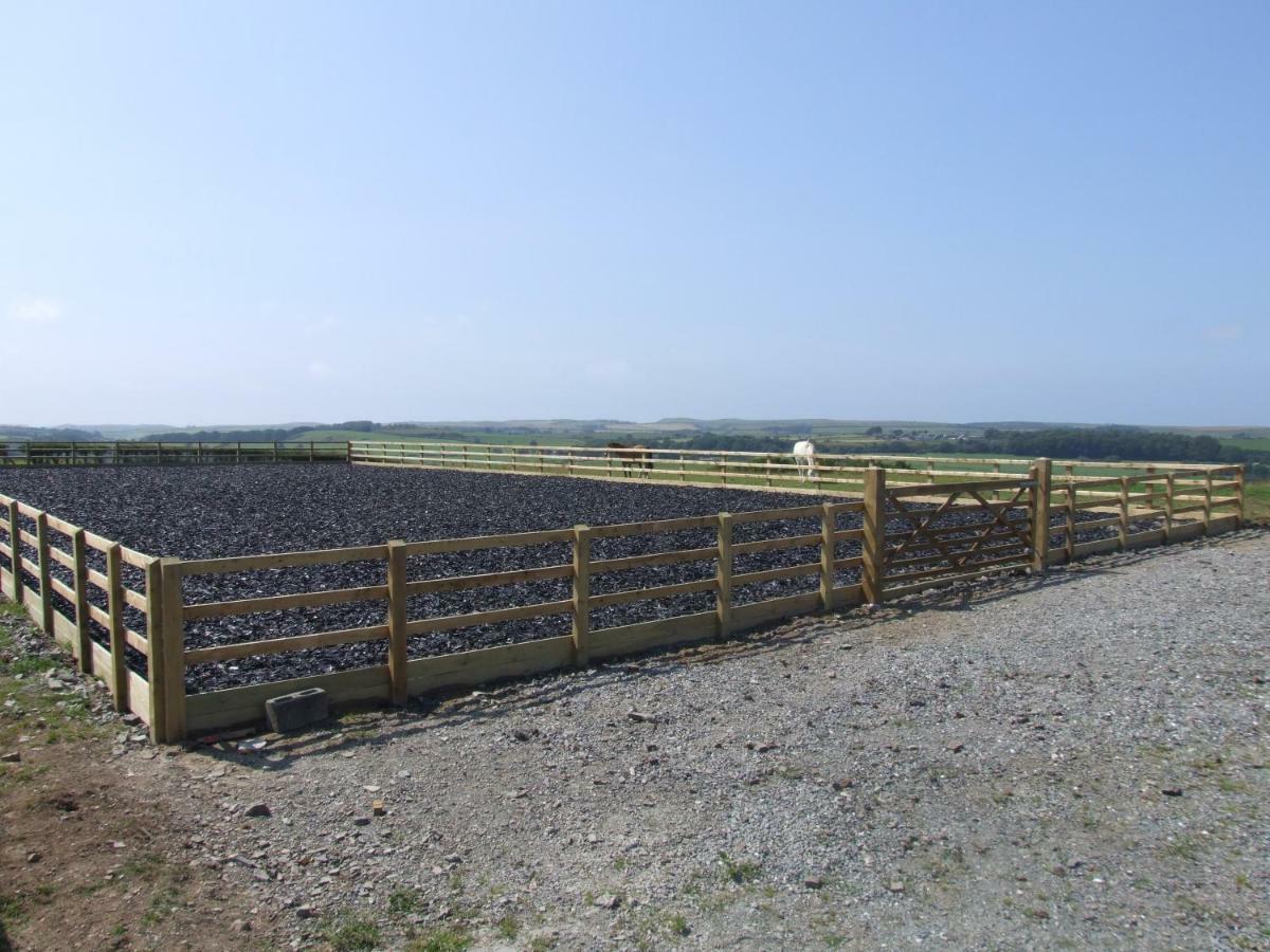 Bed & Breakfast Llangwyryfon Country Breaks 4*