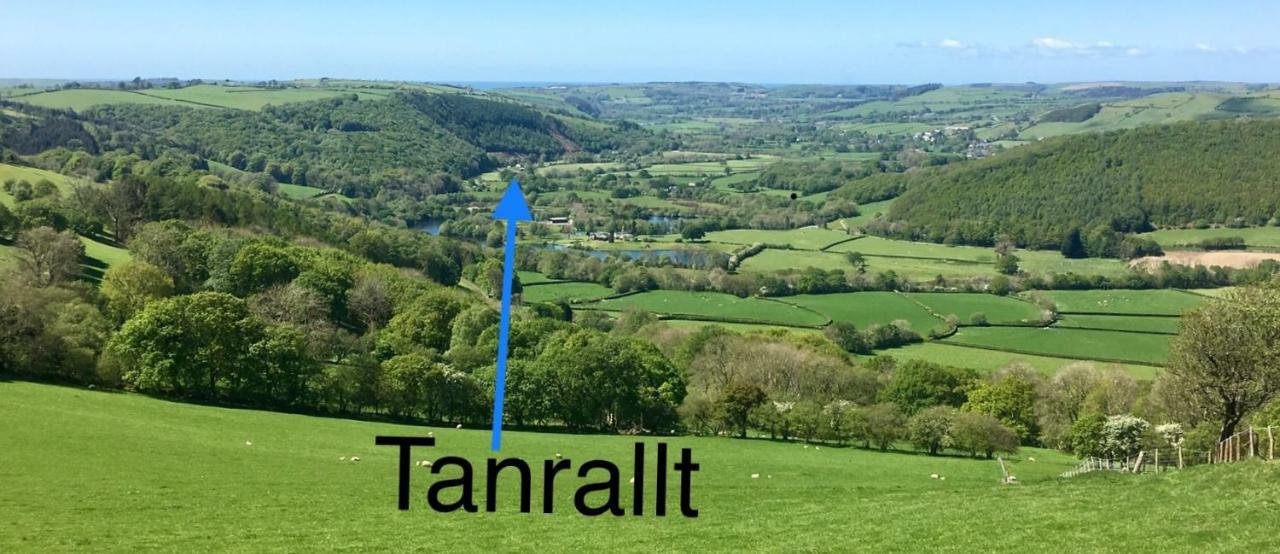 Tanrallt Aberystwyth
