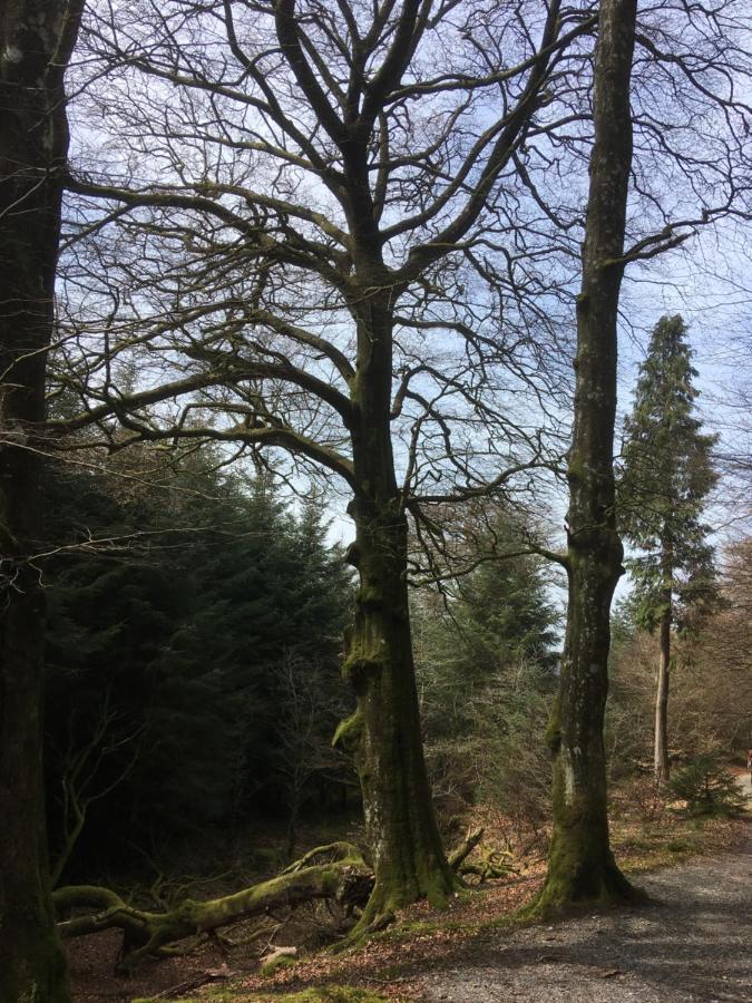 Bryncoed Aberystwyth